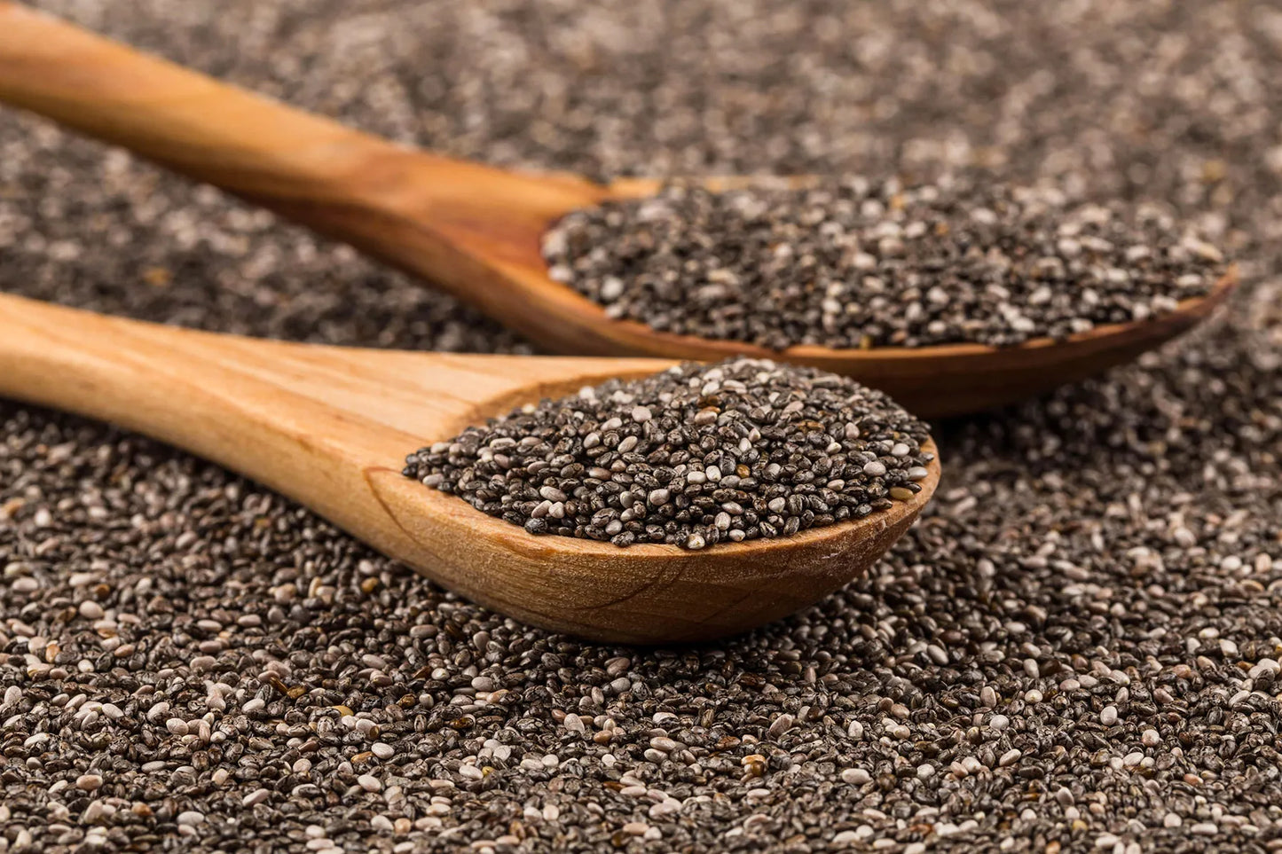 Chia Seeds / Salvia Chia benefits
