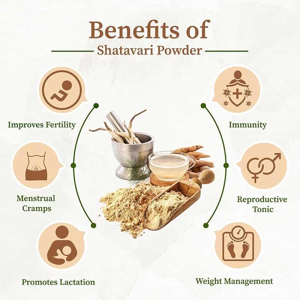 Sehatwala Satawar – 100% Pure Asparagus Racemosus Root