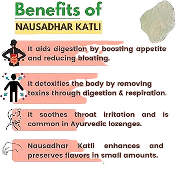 Sehatwala Naushadar Tiki – Herbal Remedy for Cough & Digestion