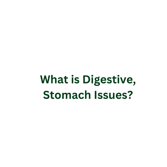 What is Digestive, Stomach Issues?