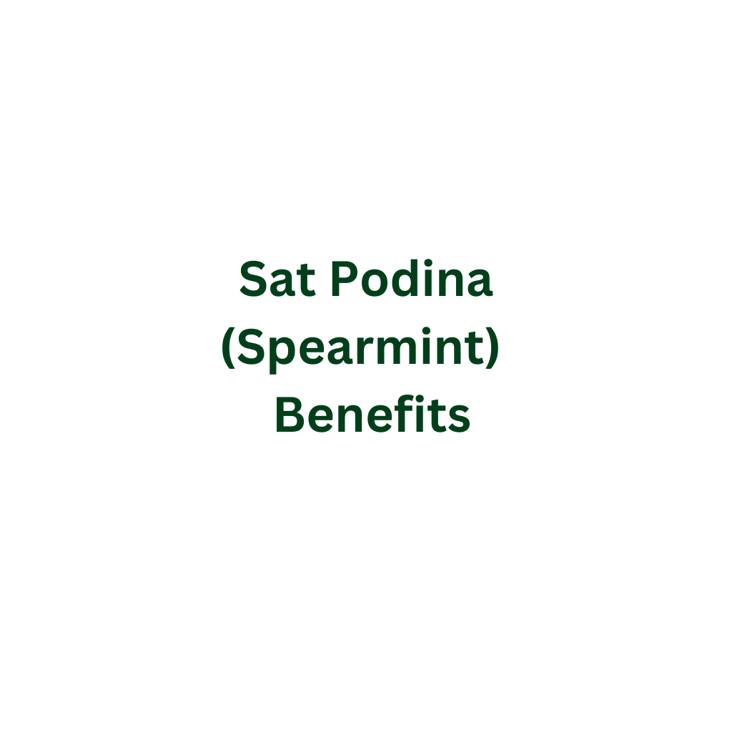 Sat Podina (Spearmint)