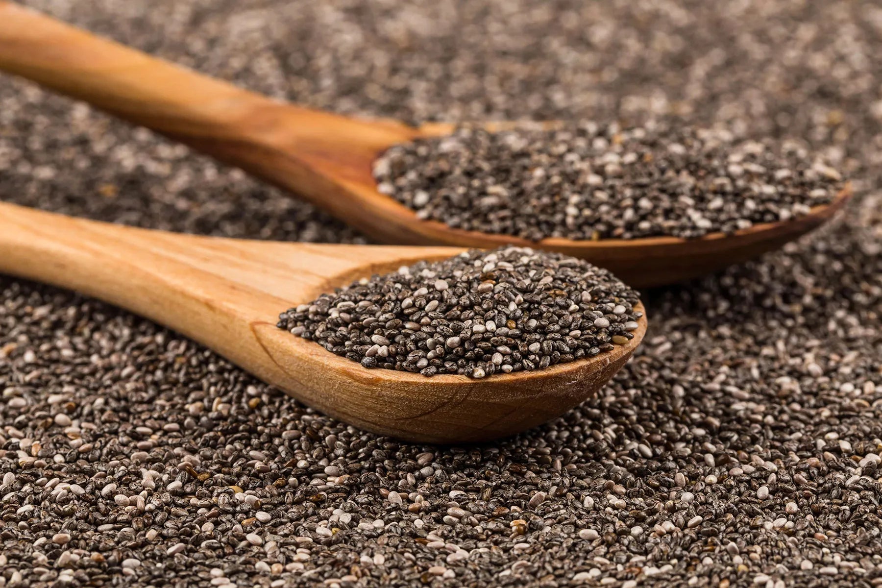 Chia Seeds / Salvia Chia benefits