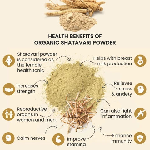 Sehatwala Satawar – 100% Pure Asparagus Racemosus Root