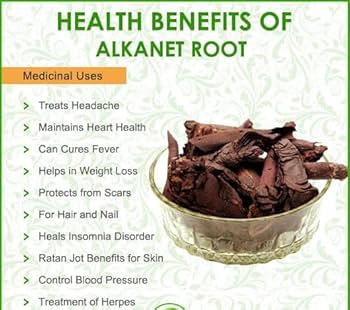 Sehatwala Ratan Jot – 100% Pure Alkanet Root for Hair and Skin