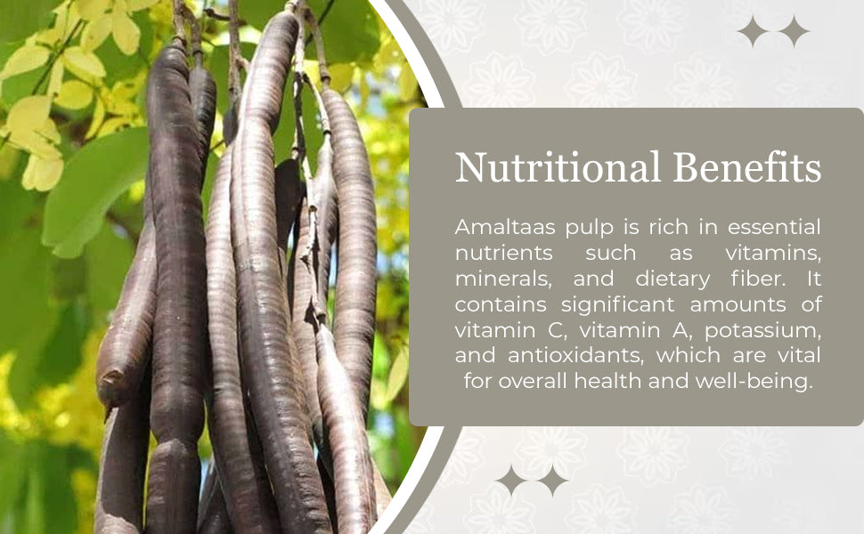 Sehatwala Amaltas Phalli – 100% Pure Cassia Fistula Pod