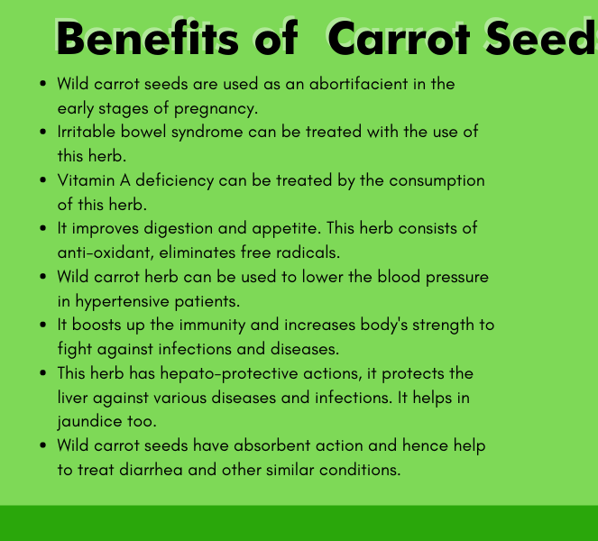 Organic Carrot Seeds Gajar ke Beej by Sehatwala – Natural Fertility Booster