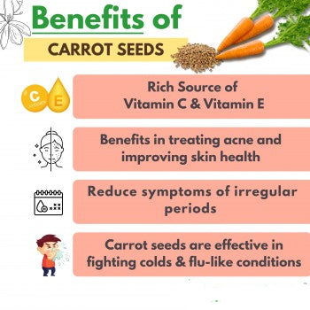 Organic Carrot Seeds Gajar ke Beej by Sehatwala – Natural Fertility Booster