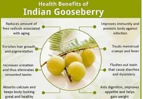 Amla / Indian gooseberry benefits